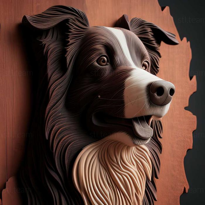 3D model Border Collie dog (STL)